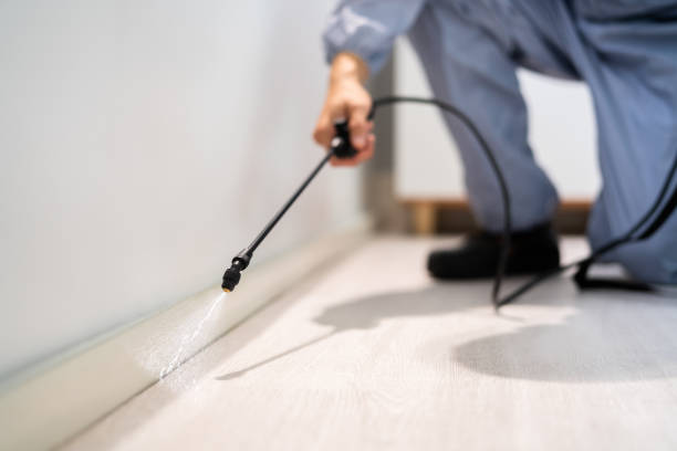 Licensed Pest Control service in San Mateo, CA - Show Me Pest Control